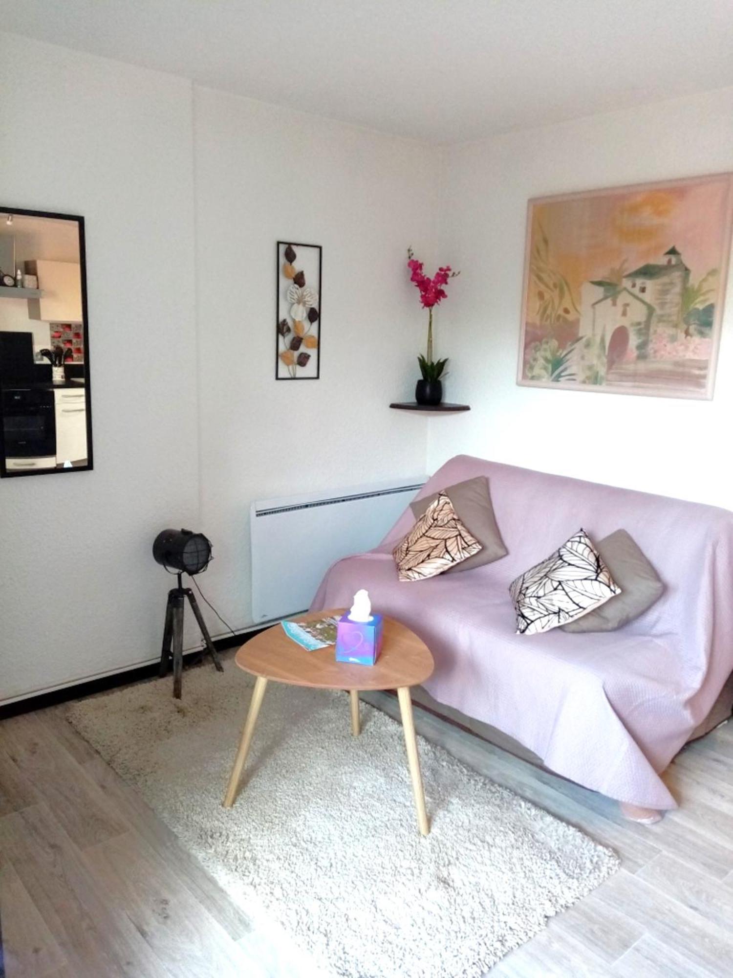 Cabourg Agreable T2 Residence Calme - Terrasse 20M2 - Animaux Bienvenus ภายนอก รูปภาพ